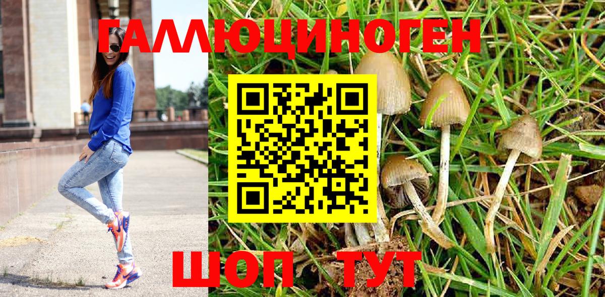 Псилоцибиновые грибы прущие грибы Чапаевск