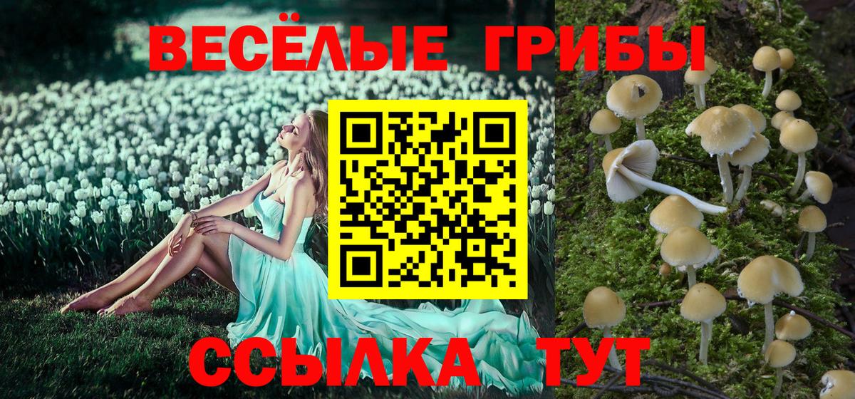Чапаевск  купить наркотик  Вход с VPN  Галлюциногенные грибы Psilocybe 